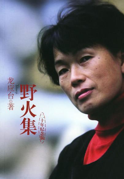 点击放大 野火集封面