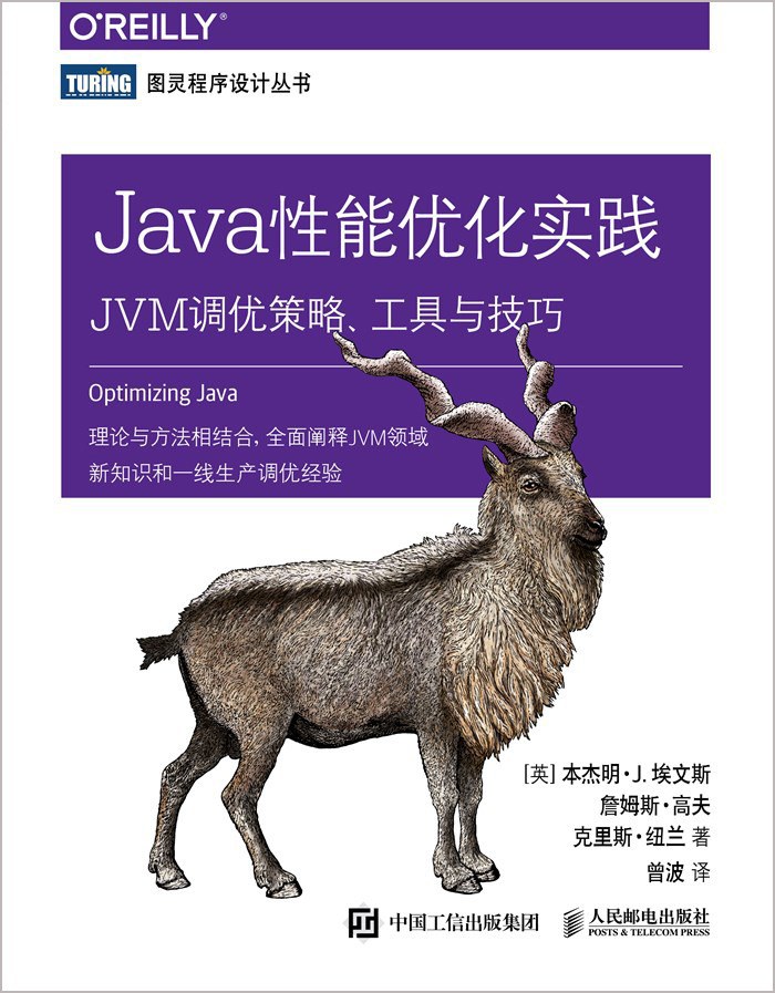 Java性能优化实践:JVM调优策略、工具与技巧封面