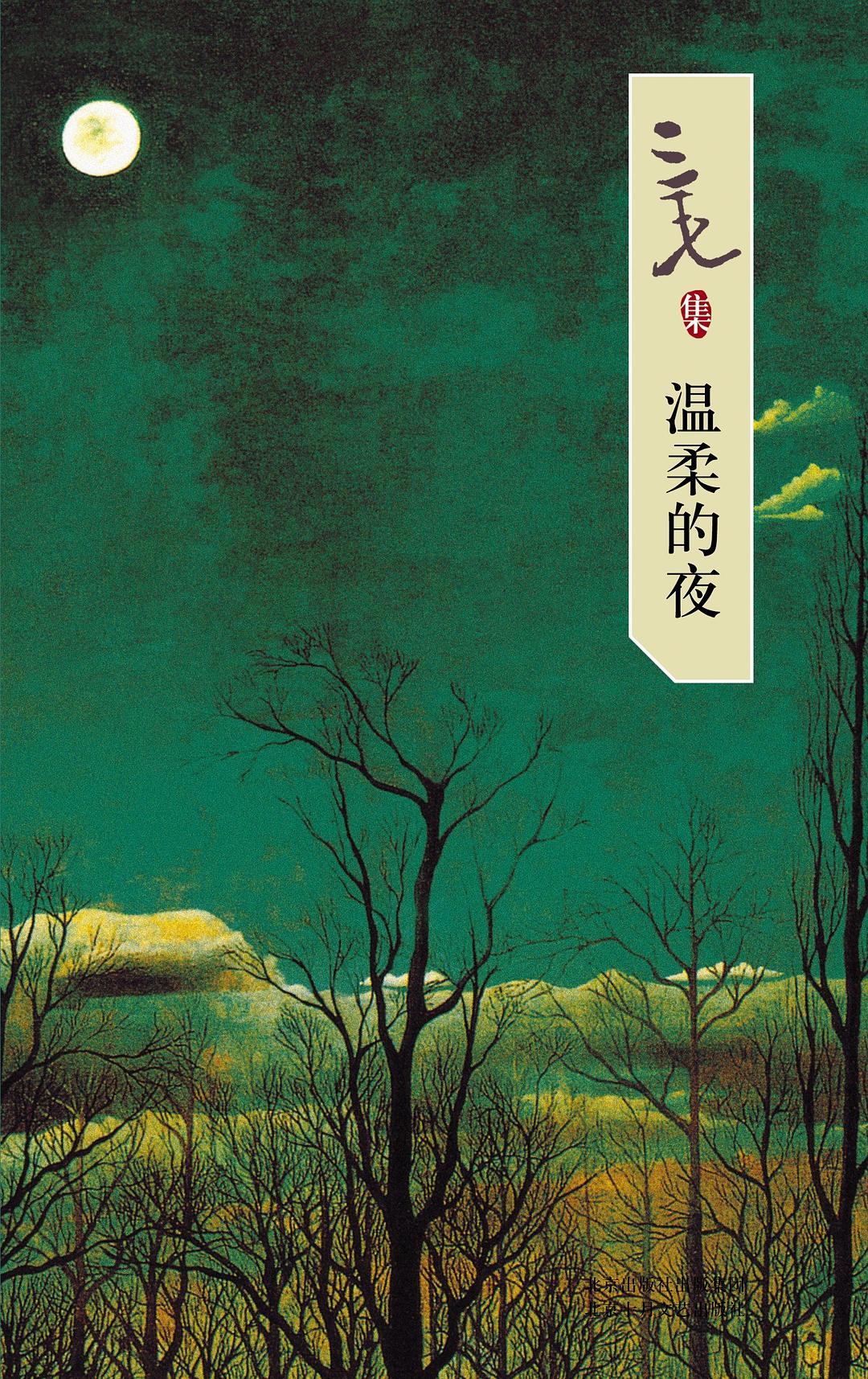 温柔的夜封面