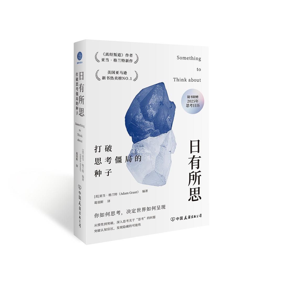 点击放大 日有所思封面