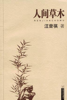 人间草木封面图
