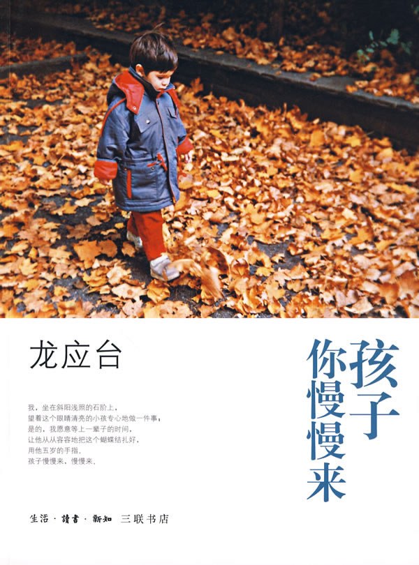 点击放大 孩子你慢慢来封面