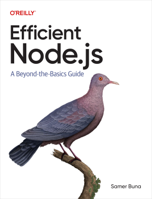 点击放大 Efficient Node.js: A Beyond-The-Basics Guide封面