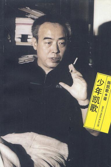少年凯歌封面
