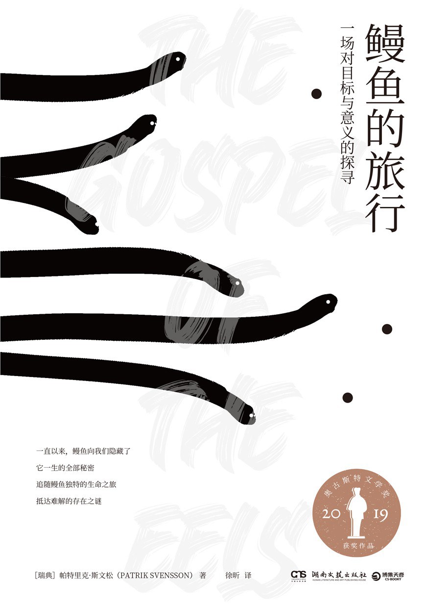 鳗鱼的旅行：一场对目标与意义的探寻封面图