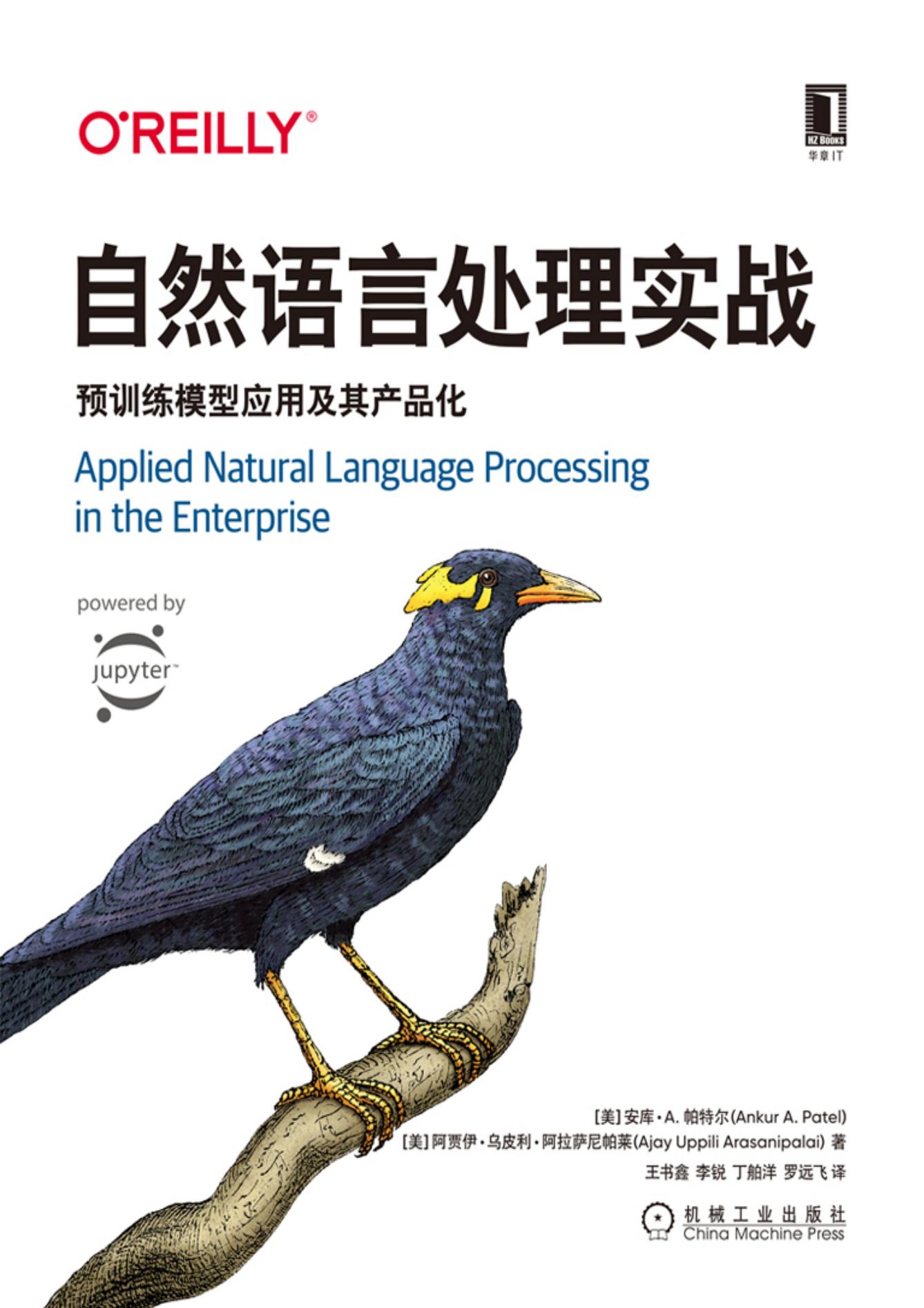 自然语言处理实战 : 预训练模型应用及其产品化封面图