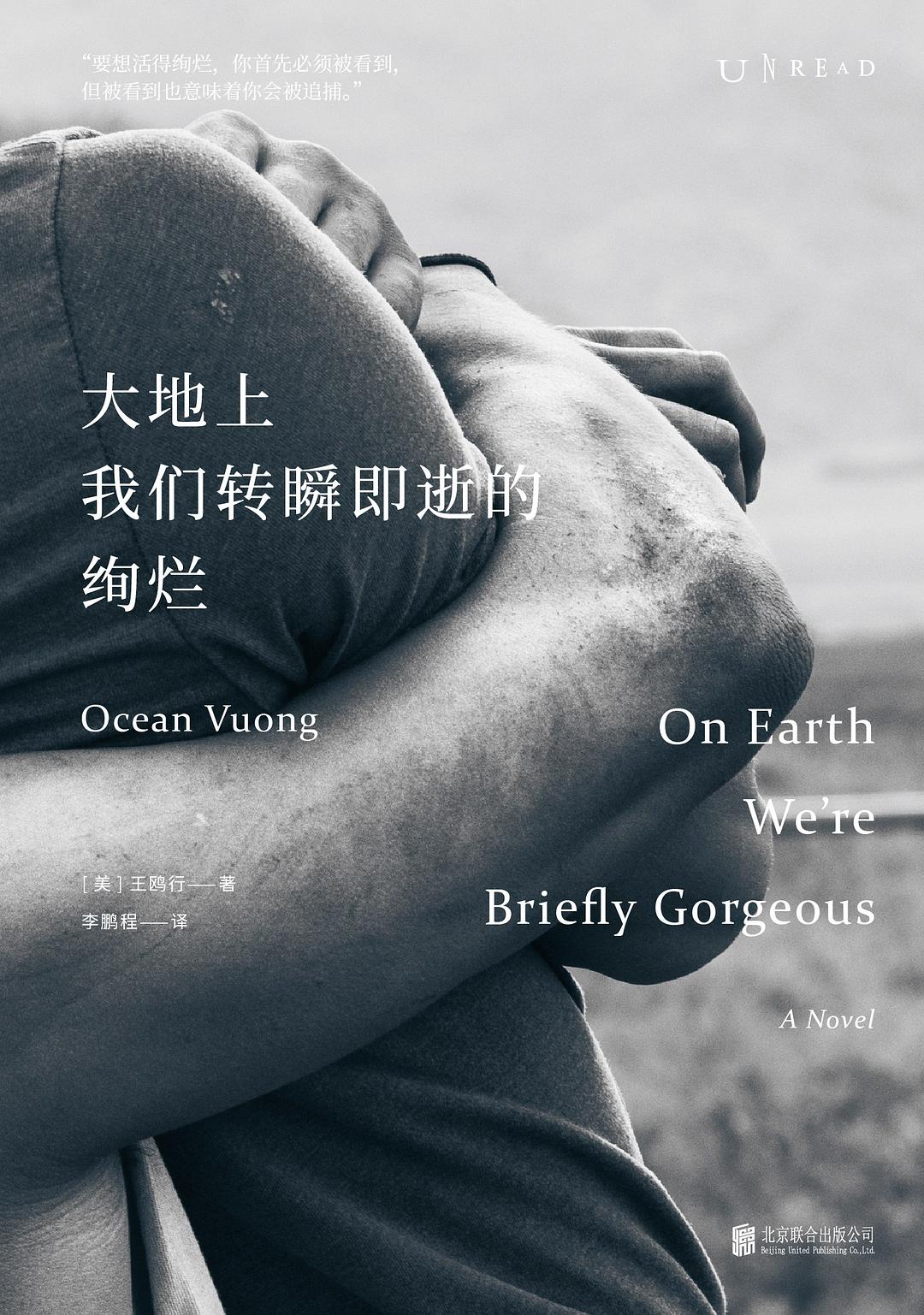 大地上我们转瞬即逝的绚烂封面