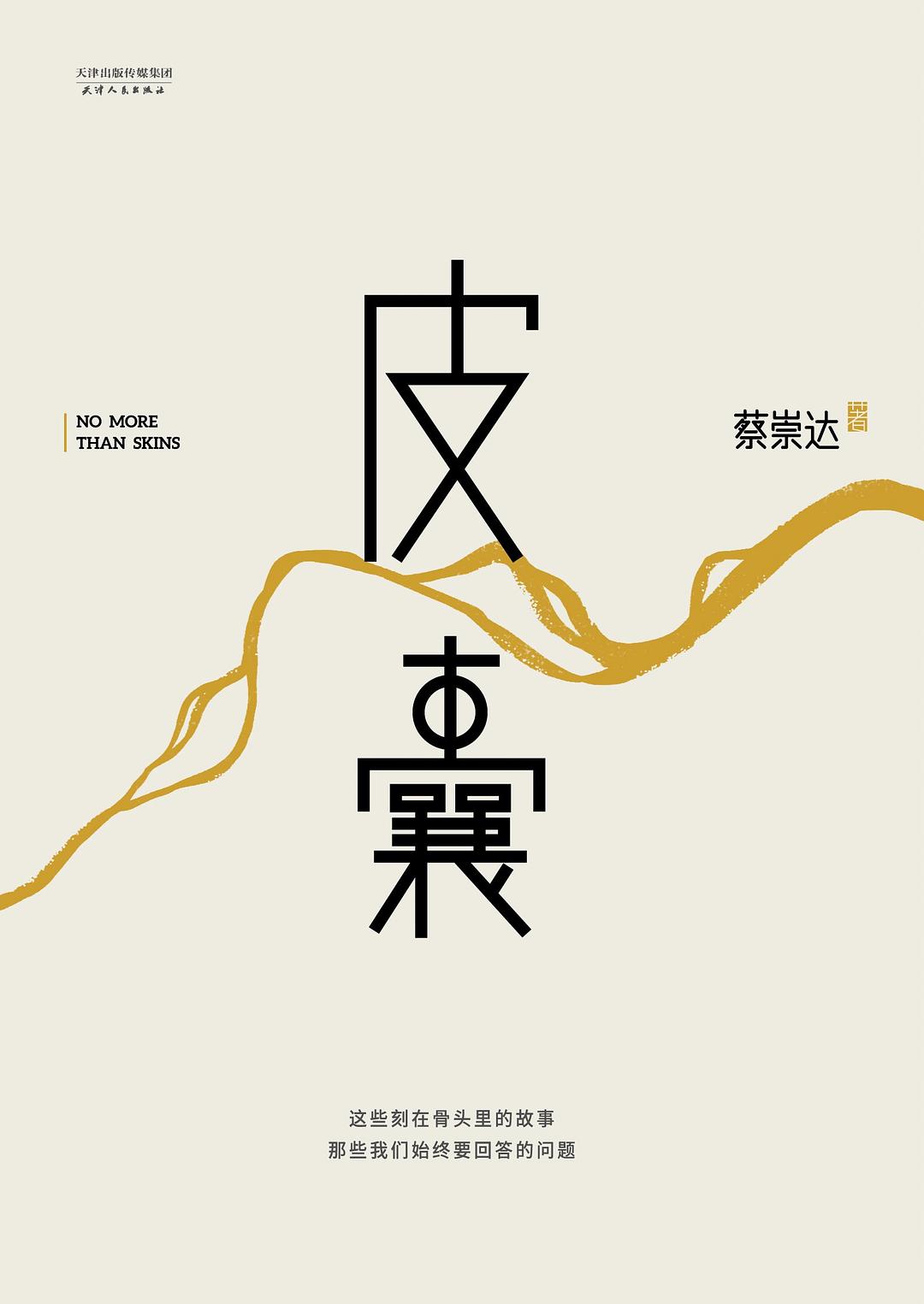 皮囊封面