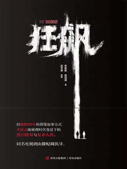 狂飙封面图
