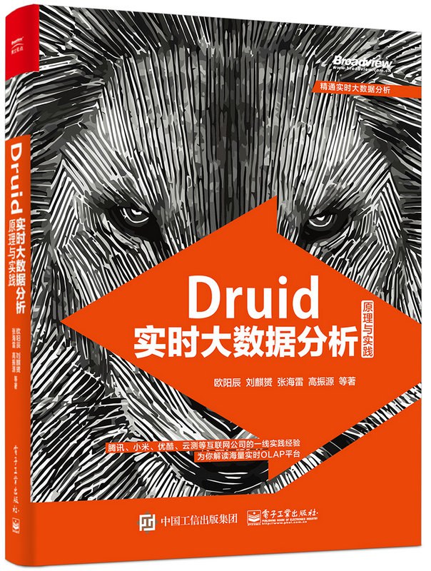 Druid实时大数据分析原理与实践封面